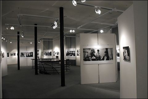 img_5337.jpg