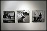 img_5325